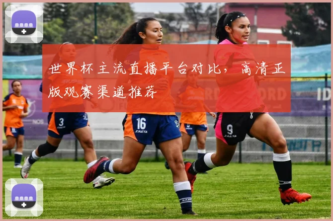 世界杯主流直播平台对比，高清正版观赛渠道推荐