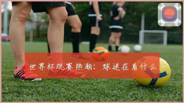 世界杯观赛热潮：球迷在看什么