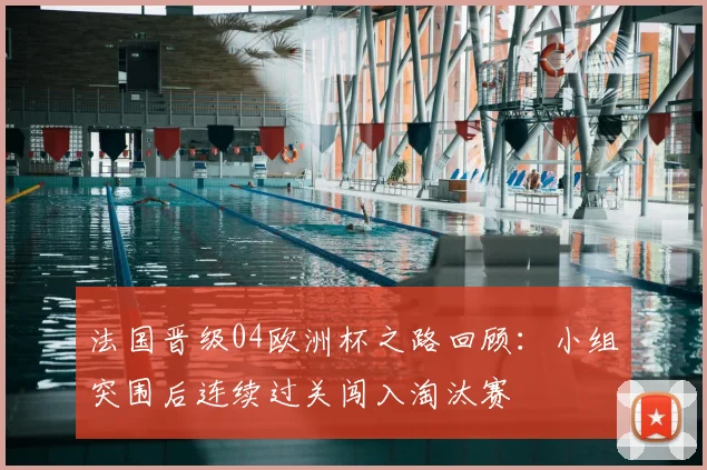 法国晋级04欧洲杯之路回顾：小组突围后连续过关闯入淘汰赛