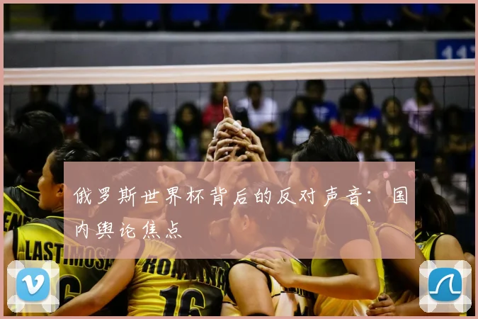 俄罗斯世界杯背后的反对声音：国内舆论焦点