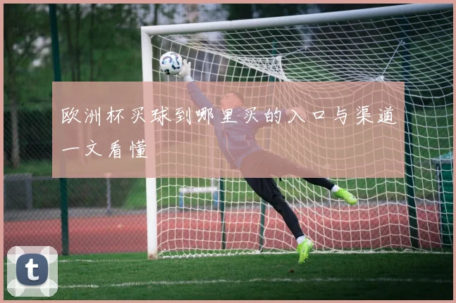 欧洲杯买球到哪里买的入口与渠道一文看懂