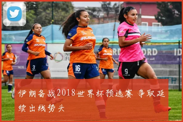 伊朗备战2018世界杯预选赛 争取延续出线势头
