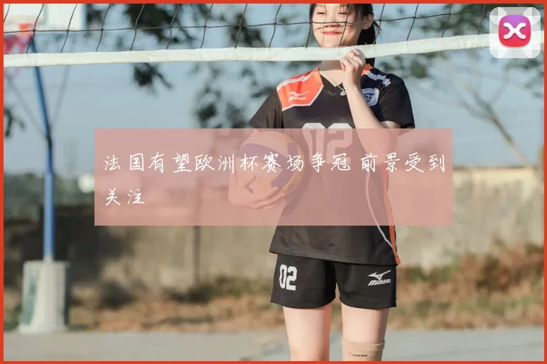 法国有望欧洲杯赛场争冠 前景受到关注