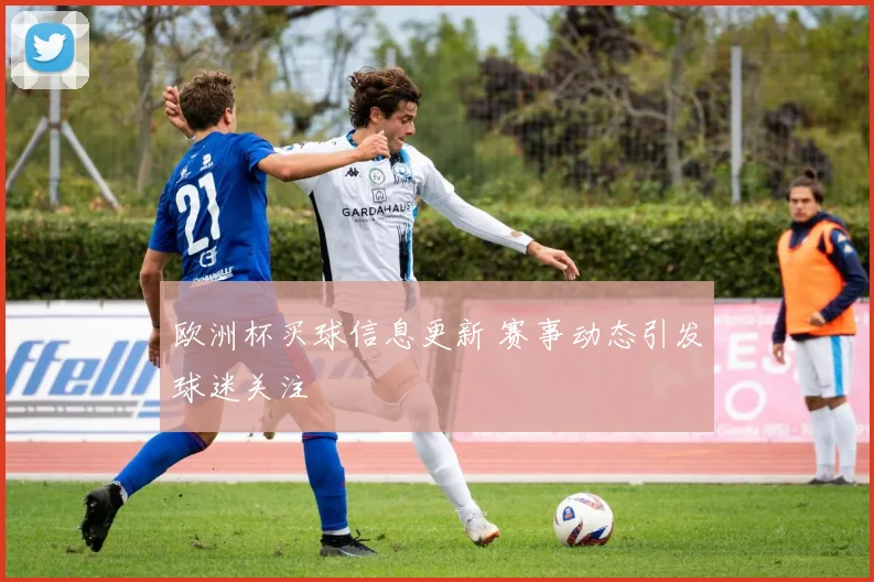 欧洲杯买球信息更新 赛事动态引发球迷关注