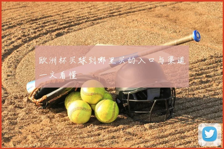 欧洲杯买球到哪里买的入口与渠道一文看懂