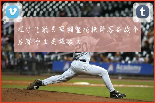辽宁飞豹男篮调整轮换阵容备战季后赛冲击更强战力