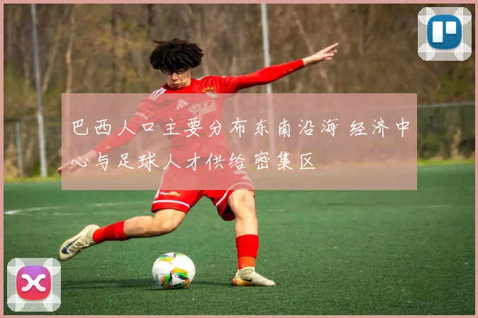 巴西人口主要分布东南沿海 经济中心与足球人才供给密集区
