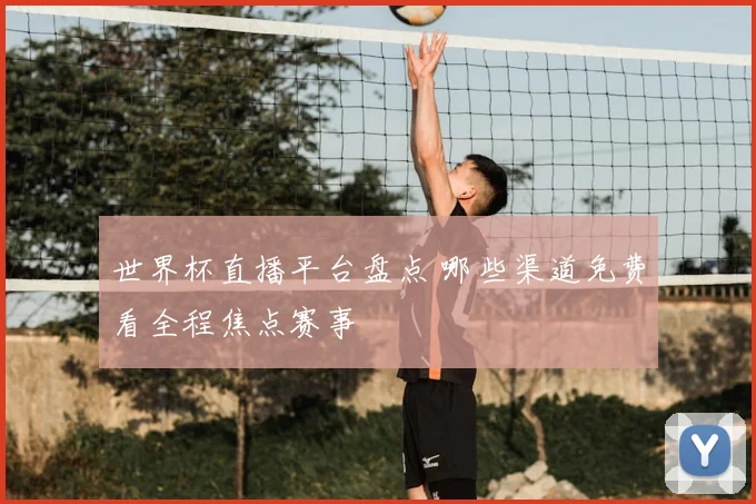 世界杯直播平台盘点 哪些渠道免费看全程焦点赛事