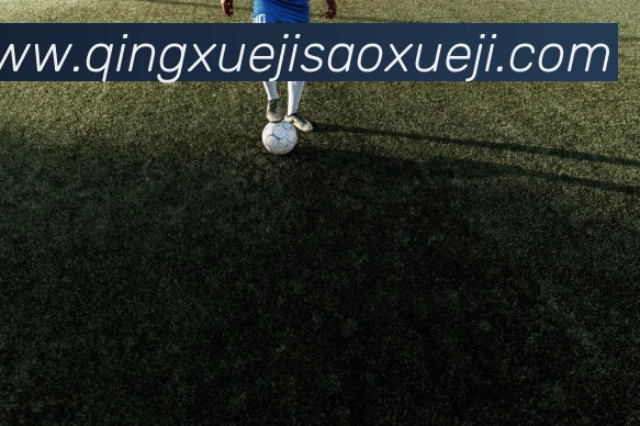 好博体育app登录入口品牌故事